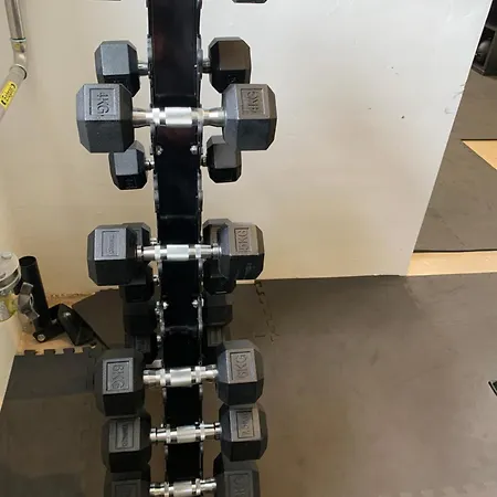 Wolf Apartment
